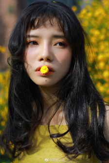 车太贤